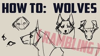 How to draw wolves basics me rambling [upl. by Mosi]