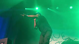 ScHoolboy Q  quotCollard Greensquot LIVE at Chicago IL Ramova Theatre 072424 [upl. by Bowles]