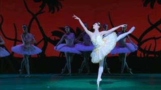 Don Quixote – The Queen of the Dryads Act II The Royal Ballet [upl. by Va]