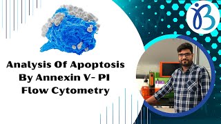 Analysis Of Apoptosis By AnnexinPI Flow Cytometry [upl. by Laehcor]