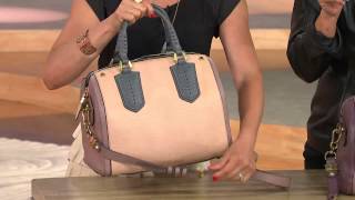 orYANY Reese Italian Diamond Leather Satchel with Lisa Robertson [upl. by Llednahs]