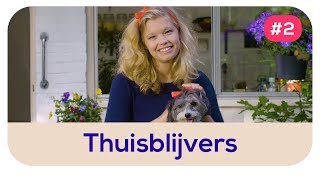 Transavia Thuisblijver  wie zorgt er voor jouw huisdieren [upl. by Kazue461]