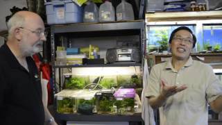 Jim quotThe Notho Guyquot Killifish Fish Room Tour [upl. by Gemina]