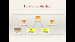 Harmonielehre 32 Leitereigene Akkorde Molltonart [upl. by Ynaffital]