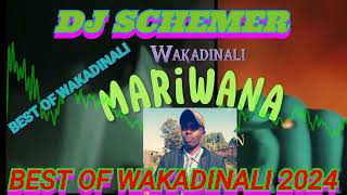 BEST OF WAKADINALI MIX 2024 FT DJ SCHEMER Trendingmix [upl. by Gabriellia]