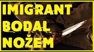 ❗❗❗ IMIGRANT BODAL NOŽEM🔪💀💀💀 [upl. by Jael]