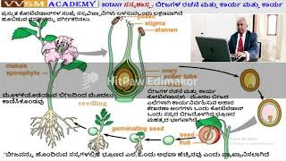 VVSMA ಹೂಬಿಡುವ ಸಸ್ಯಗಳು ಆಂಜಿಯೋಸ್ಪರ್ಮ್ ಗಳು ದ್ಯುತಿಸಂಶ್ಲೇಷಣೆ ಮೊನೊಕೊಟೈಲೆಡಾನ್ ಏಕದಳ ಡೈಕೋಟೈಲೆಡಾನ್ ದ್ವಿದಳ [upl. by Nerrad414]