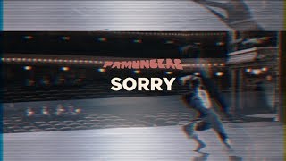 Pamungkas  Sorry Lyrics Video [upl. by Adivad]