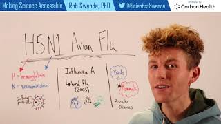 What is H5N1 Bird Flu [upl. by Koval]