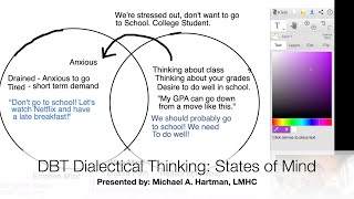 DBT Dialectical Thinking States of Mind [upl. by Ule416]