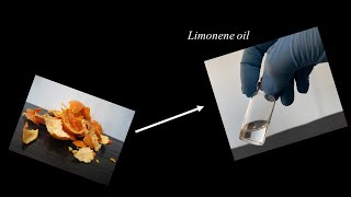 Extracting Limonene Oil from Orange Peels [upl. by Harmonia910]