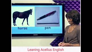 Lesson 2  Discover English  Elementary School Part 1  ELS [upl. by Petrina775]