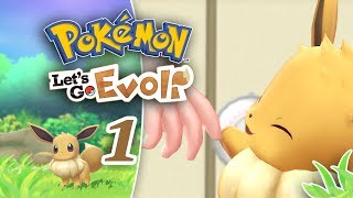 Wo alles begann  Alabastia  Pokemon Lets Go Evoli 1 [upl. by Aneez456]