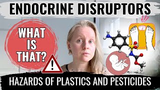 ENDOCRINE DISRUPTORS WHAT IS THAT HAZARDOUS TOXINS IN PLASTICS AND PESTICIDES HORMONAL DISORDERS [upl. by Attaynek379]