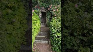 Secret shell grotto hidden in north Wales woodland Mysevin Nantglyn northwales magicalplaces [upl. by Trista]