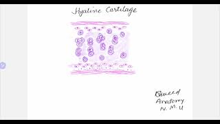 lets learn to draw histological diagram of hyaline cartilage [upl. by Anin619]