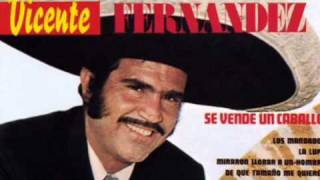 Vicente Fernandez De Que Tamaño Me Quieres [upl. by Ellenaej]