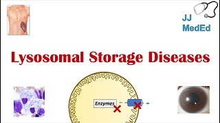 Lysosomal Storage Diseases  Overview and What You Need to Know [upl. by Gridley323]