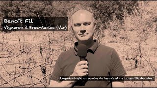 Pourquoi intercaler des érables entre les ceps de vigne [upl. by Euginom]