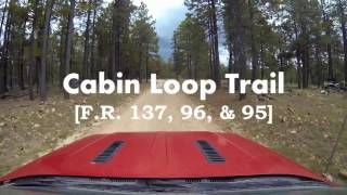 Cabin Loop Trail  Mogollon Rim AZ [upl. by Murrah375]