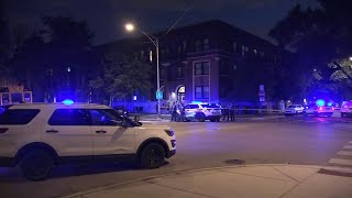 Chicago shootings At least 87 shot 16 fatally in citywide holiday weekend gun violence CPD says [upl. by Auria104]