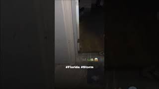 Alligator in kitchen From Hurricane Milton WILD [upl. by Inhsor]