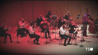 Scott Joplins Maple Leaf Rag · Toronto Symphony Orchestra [upl. by Aimil470]