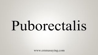 How To Say Puborectalis [upl. by Aicilanna211]