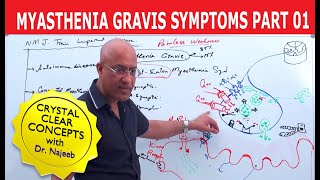 Myasthenia Gravis  Symptoms and Treatment  Part 1🩺 [upl. by Theron980]