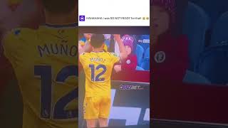 The Most Hilarious Football Fan Moment Caught on Camera [upl. by Atsyrk962]