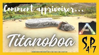 Comment apprivoiser un titanoboa  Ark survival evolved  TUTO [upl. by Adama]