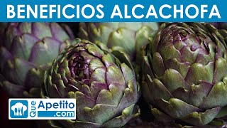 8 Propiedades y Beneficios de la Alcachofa  QueApetito [upl. by Ainosal]