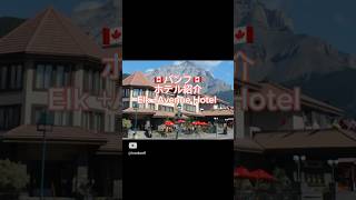 🇨🇦【バンフ】Elk  Avenue Hotel 🇨🇦カナダ バンフ カナダ旅行 カナディアンロッキー mybanff [upl. by Attennod]