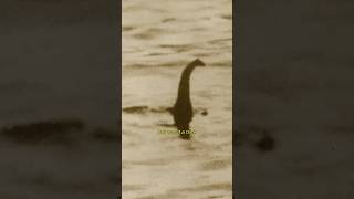 Loch Ness Monster │ Occult Legends [upl. by Tichon178]