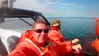 Fundy Tide Runners  Whale Watching Humpbacks breaching AMAZING [upl. by Auhsoj]