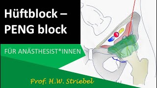 HüftBlock PENGBlock [upl. by Ursi]