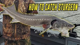 How To Fish Sturgeon In Depth Tutorial For SUCCESS FISH ON [upl. by Maag]