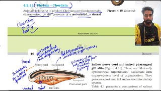 Animal Kingdom class 11th NCERT Biology Part 4  Phylum Chordata [upl. by Recnal591]