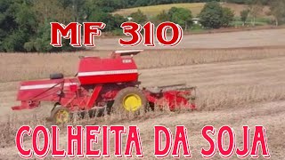 Colheita da Soja MF 310Colhendo Média de 60 Por Hectares [upl. by Namyaw]