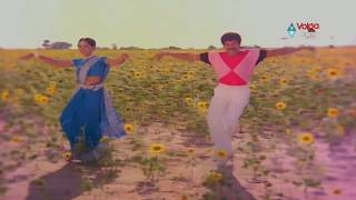 Kondaveeti Raja Songs  Naa Koka Babgunda  Chiranjeevi Radha [upl. by Lamag]