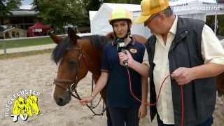 Riemer Pferdetage Riem  Mounted Games  rasanter Reitsport vom Team Werdenfels [upl. by Marcello]