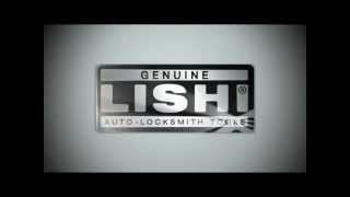 Lishi 2in1 Introduction [upl. by Gault612]