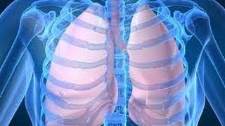 How healthy lungs work and function [upl. by Sukram521]