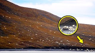 Tourists Thought They Saw Sheep  If This Hadn’t Been Filmed No One Would’ve Believed It [upl. by Nihi]