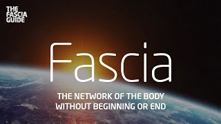 Fascia Documentary The network of the body without beginning or end [upl. by Erdnaxela]