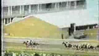 Preakness Stakes 1971 [upl. by Compte426]