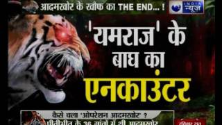 Forest department operation ends terror of tiger in Pilibhit Uttar Pradesh [upl. by Adihahs]