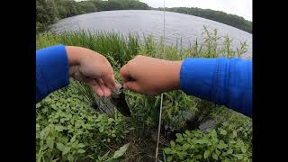 fishing at Findlay for crappie [upl. by Ailahtan]