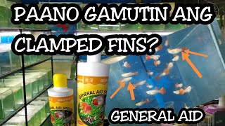 Paano Gamutin ang Clamped Fins  How to Cure Clamped fins Guppy  Ryan Perez [upl. by Yras14]