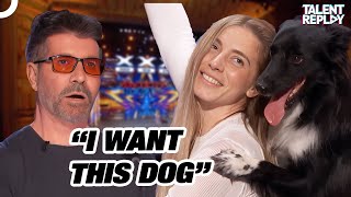 You Have Never Seen a Dog Dance Like This  Americas Got Talent 2024 [upl. by Nylarahs]